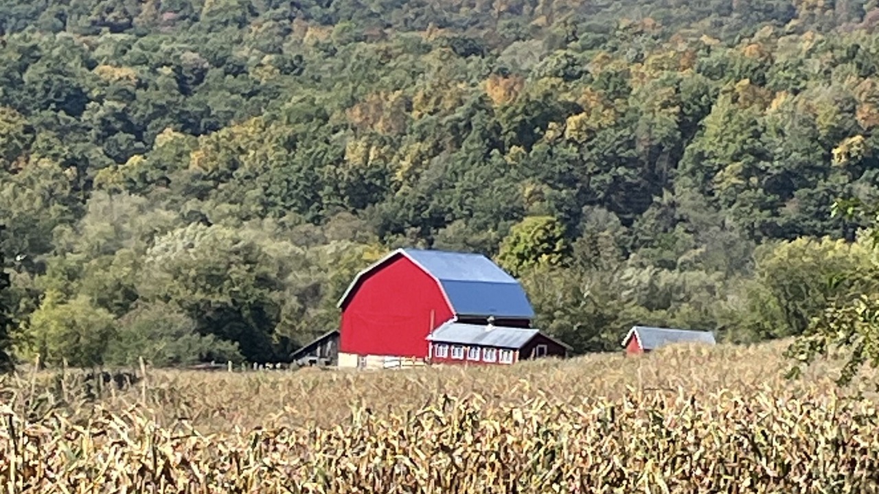 Photo of Others in Cashton