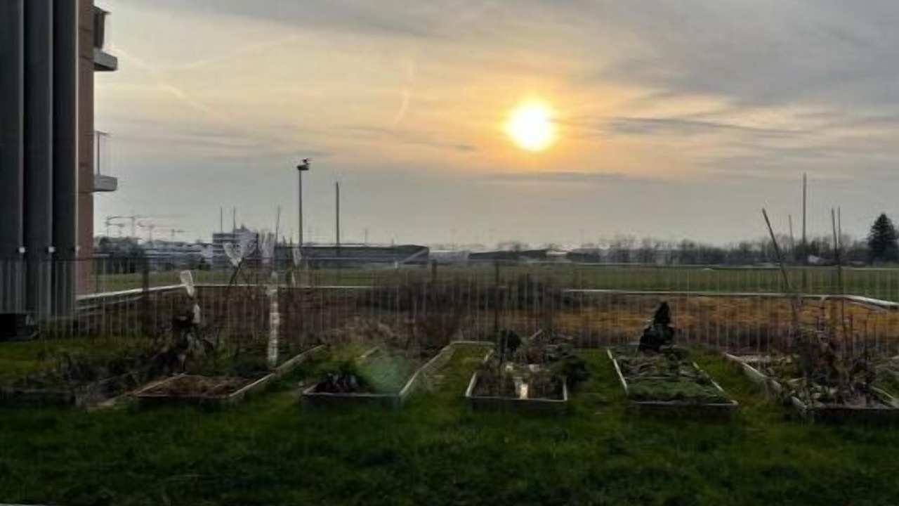 Photo of Outdoor in Le Mont-sur-Lausanne
