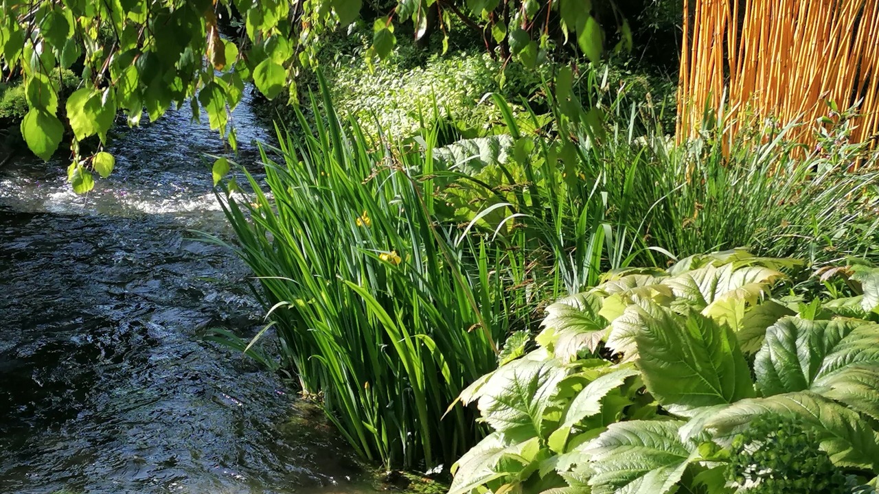 Photo of Outdoor in Reviers
