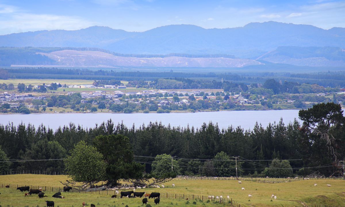 Photo of Others in Nukuhau