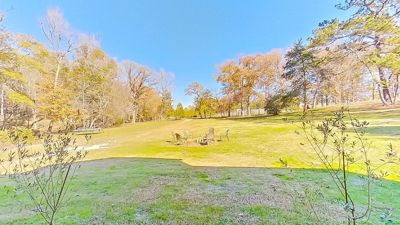 Photo of Outdoor in Arp