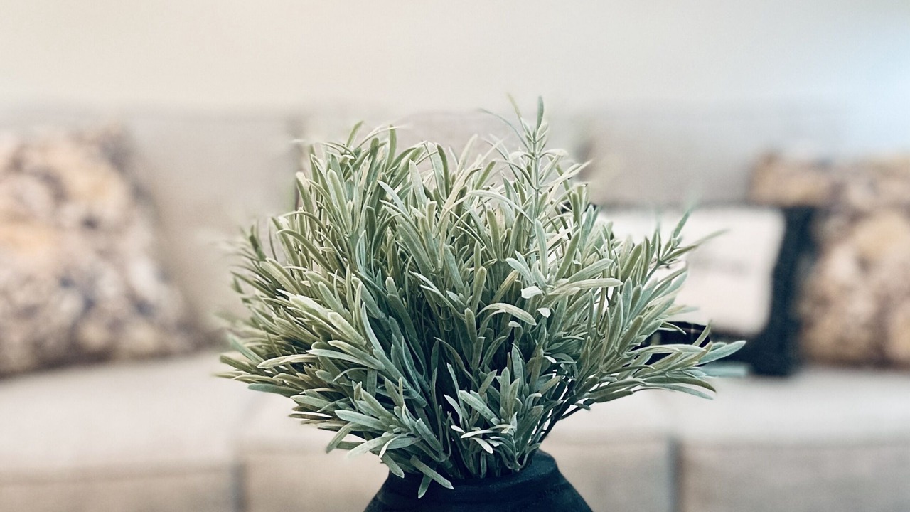 Photo of Livingroom in Mifflinburg