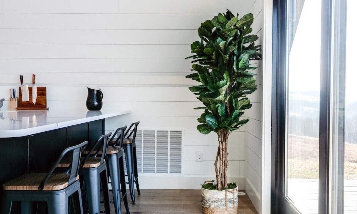 Photo of Others in Cowanesque