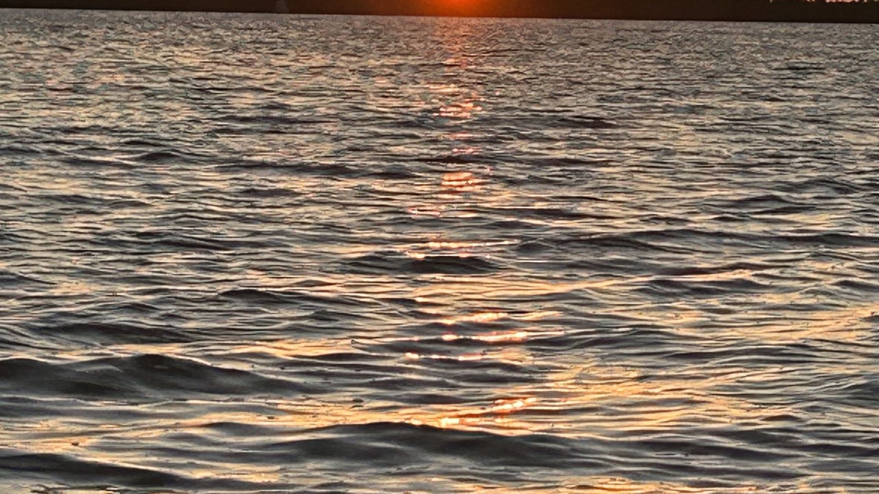 Photo of Others in Cross Key Waterways