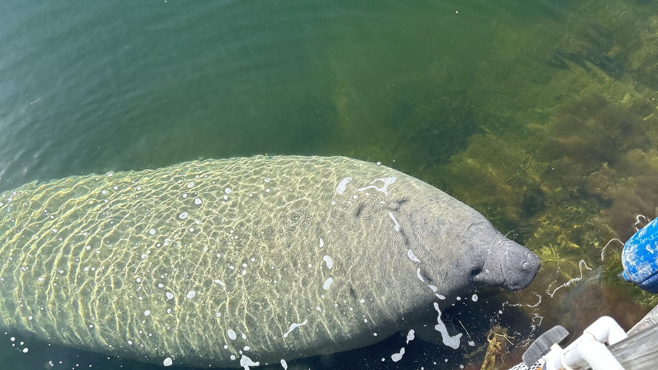 Photo of Others in Cross Key Waterways