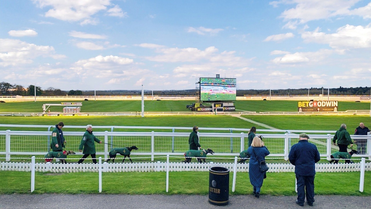 Photo of Others in Towcester