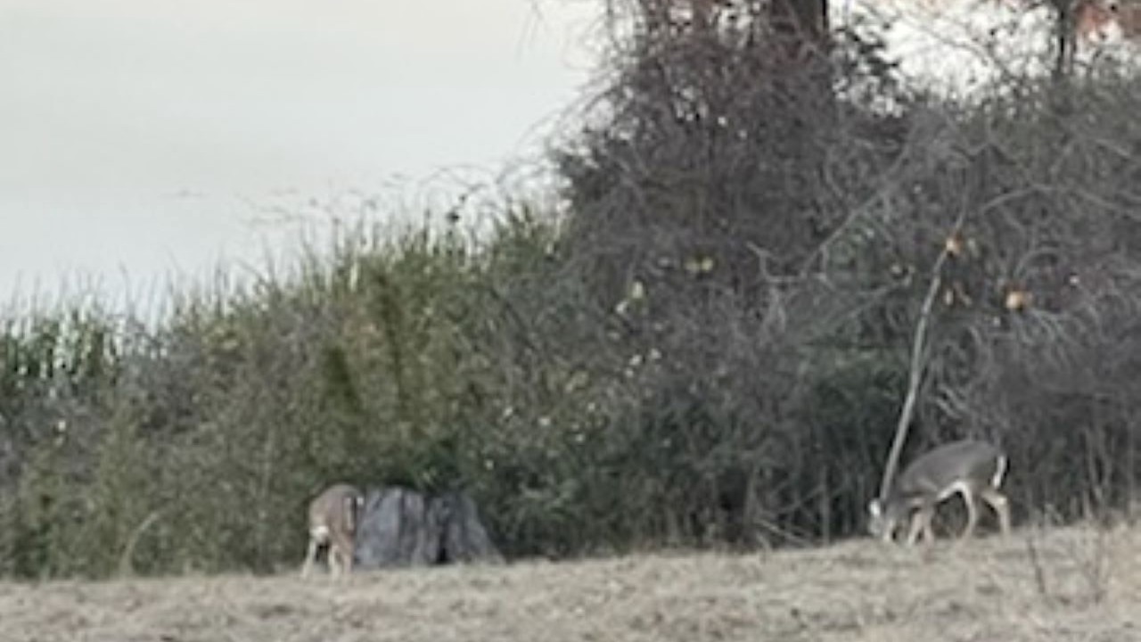 Photo of Outdoor in Fort Towson