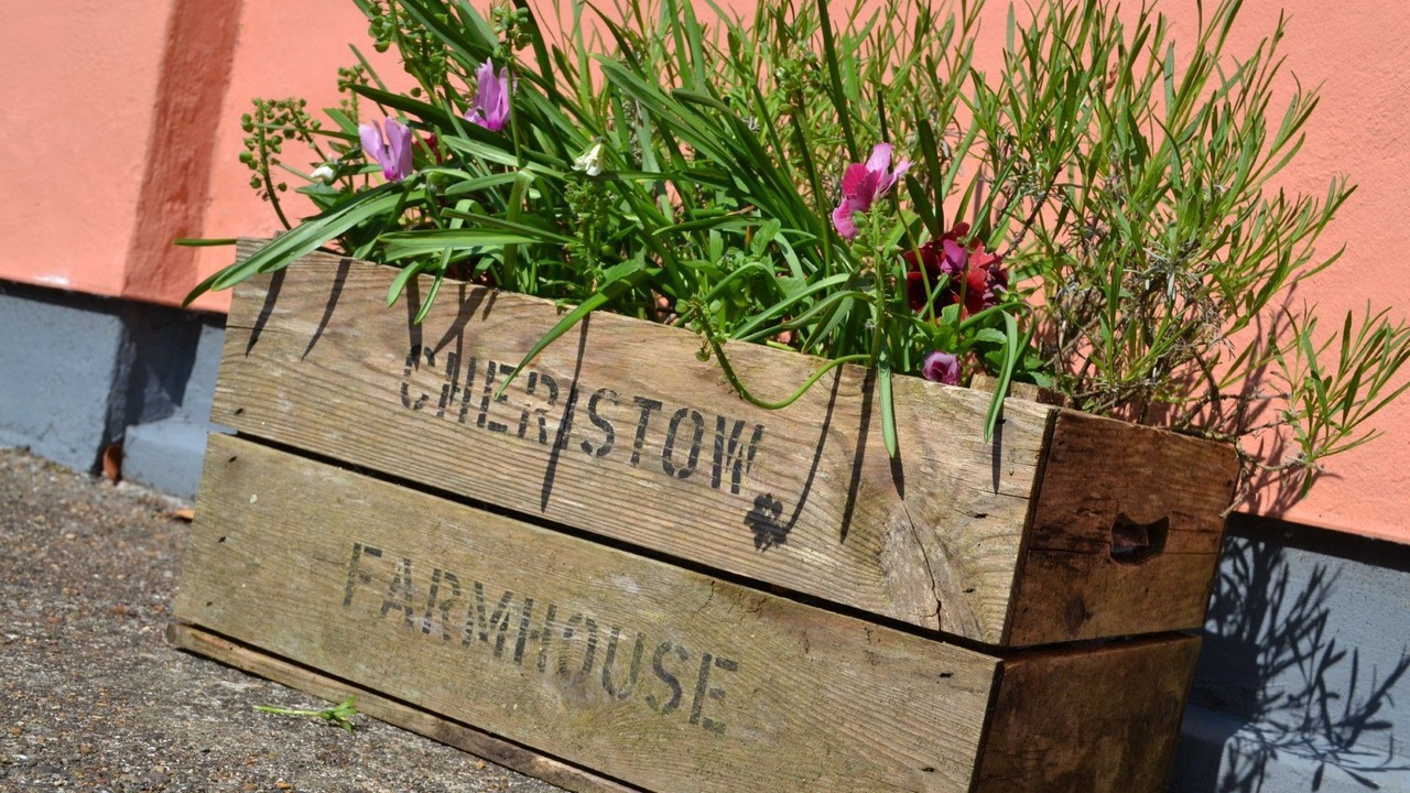 Photo of Outdoor in Hartland