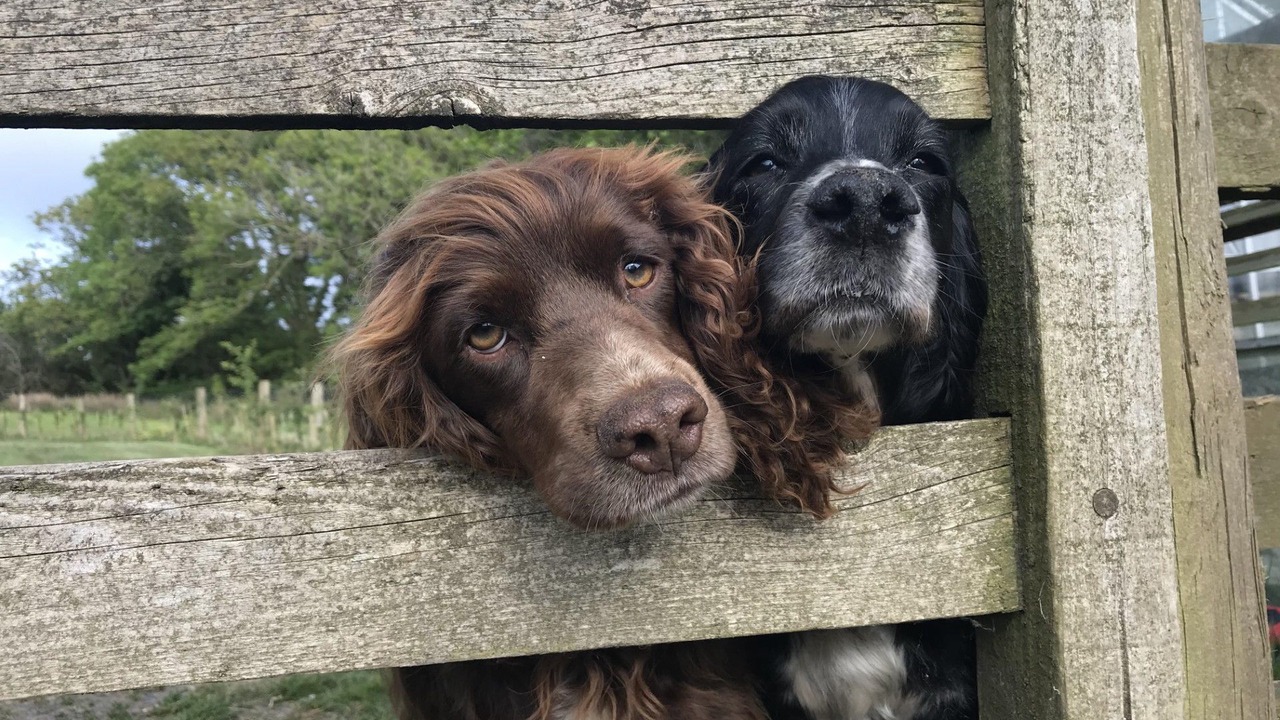 Photo of Others in Hartland