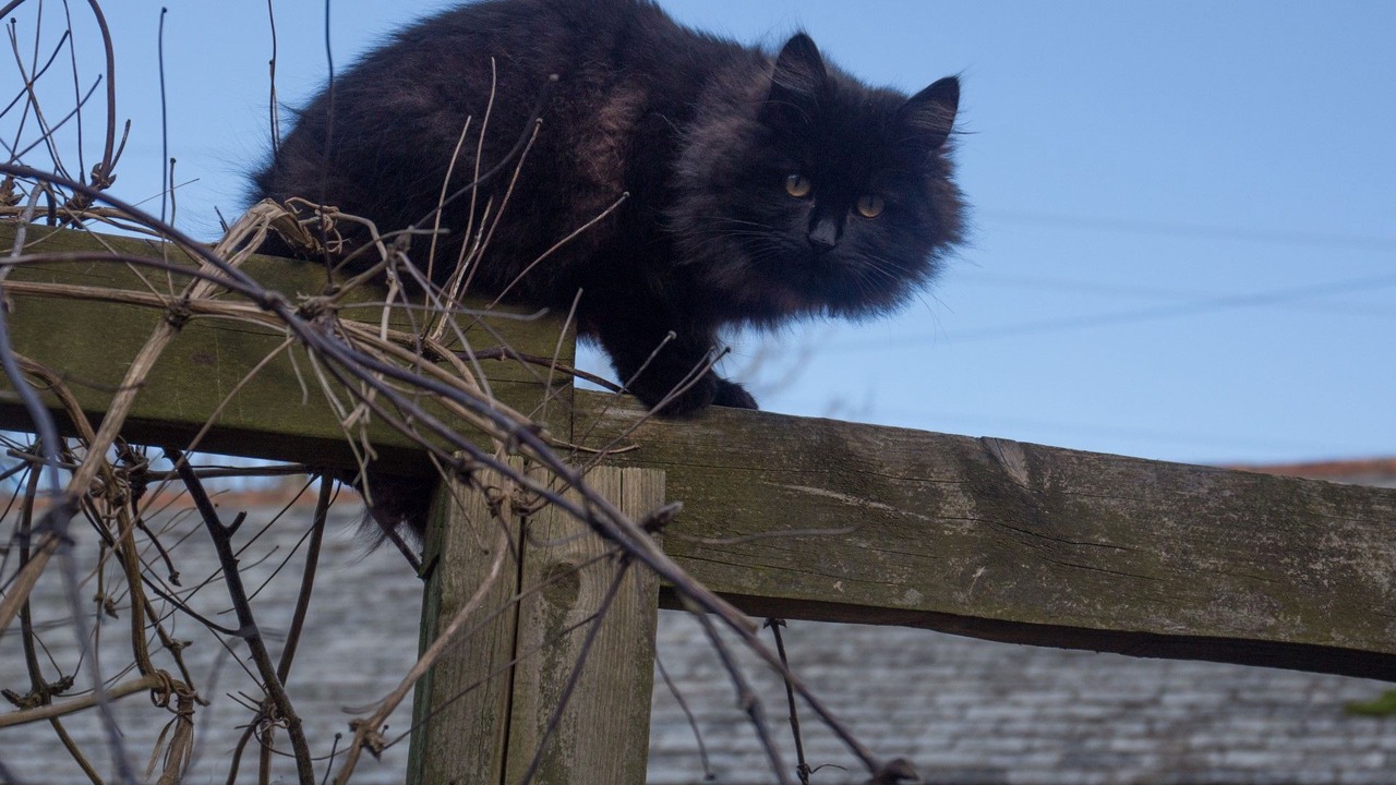 Photo of Outdoor in Hartland