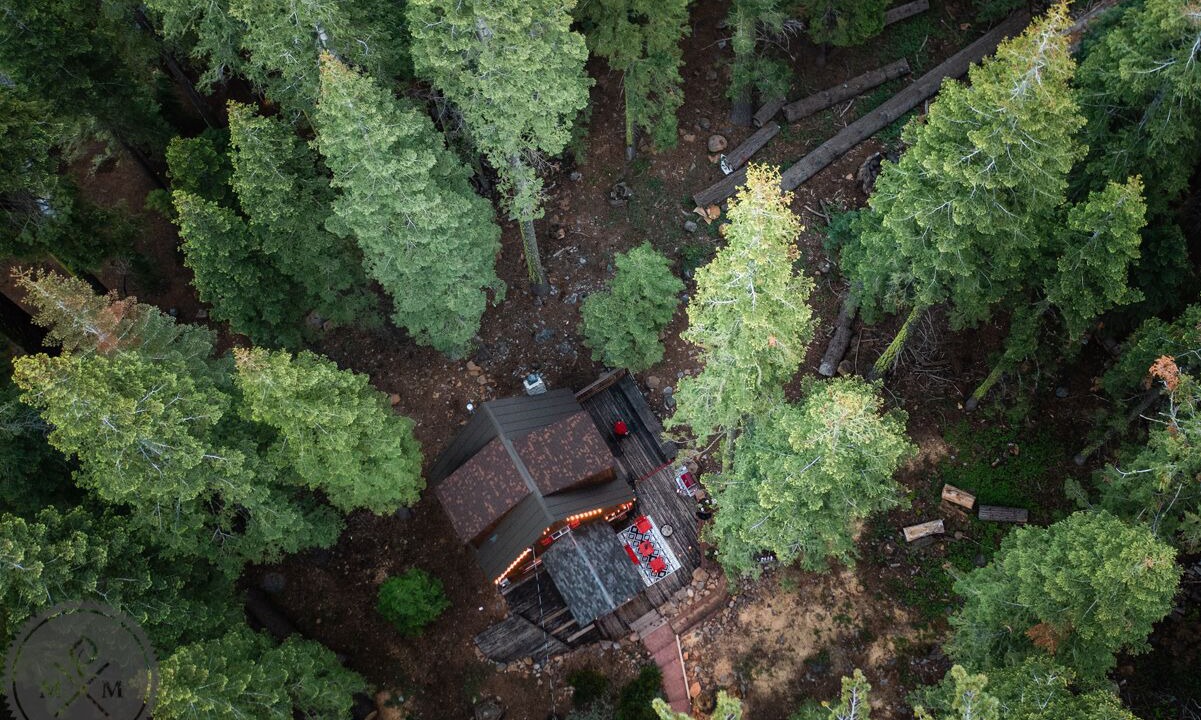 Photo of Outdoor in Timberland
