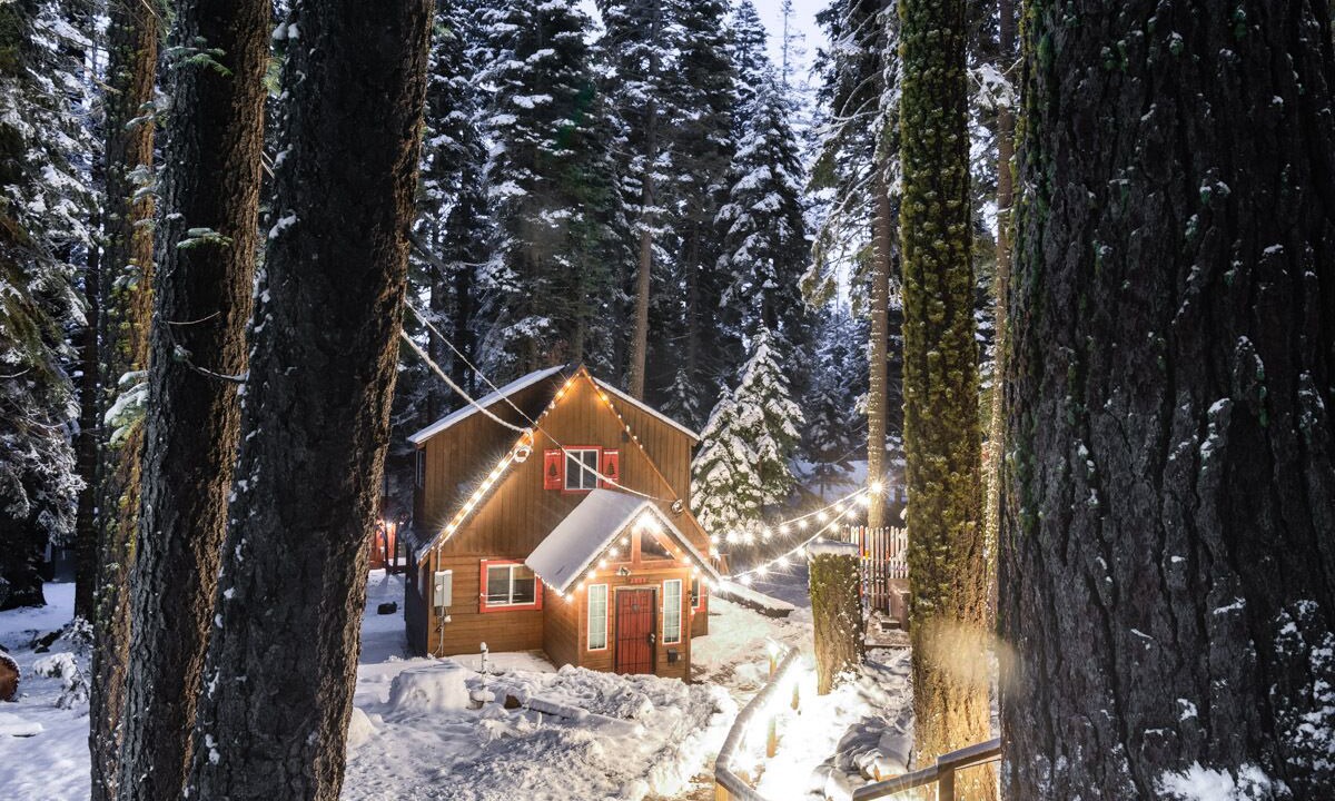 Photo of Outdoor in Timberland