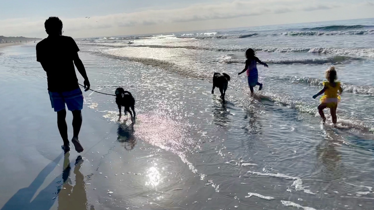 Photo of Others in Beach Lagoon