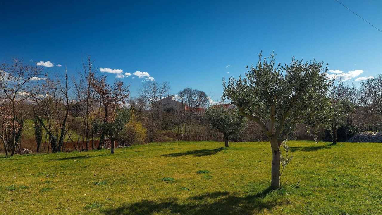 Photo of Others in Divsici