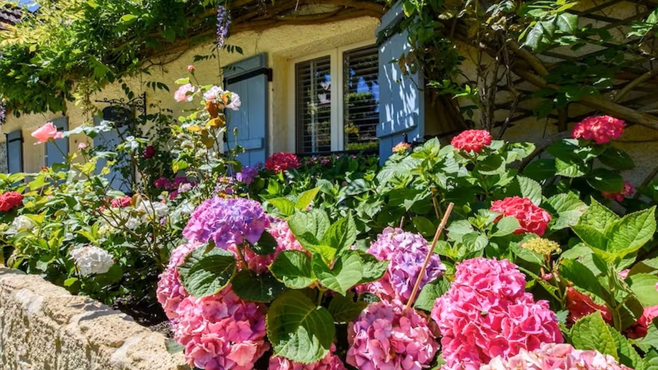 Photo of Outdoor in Villefranche-du-Perigord