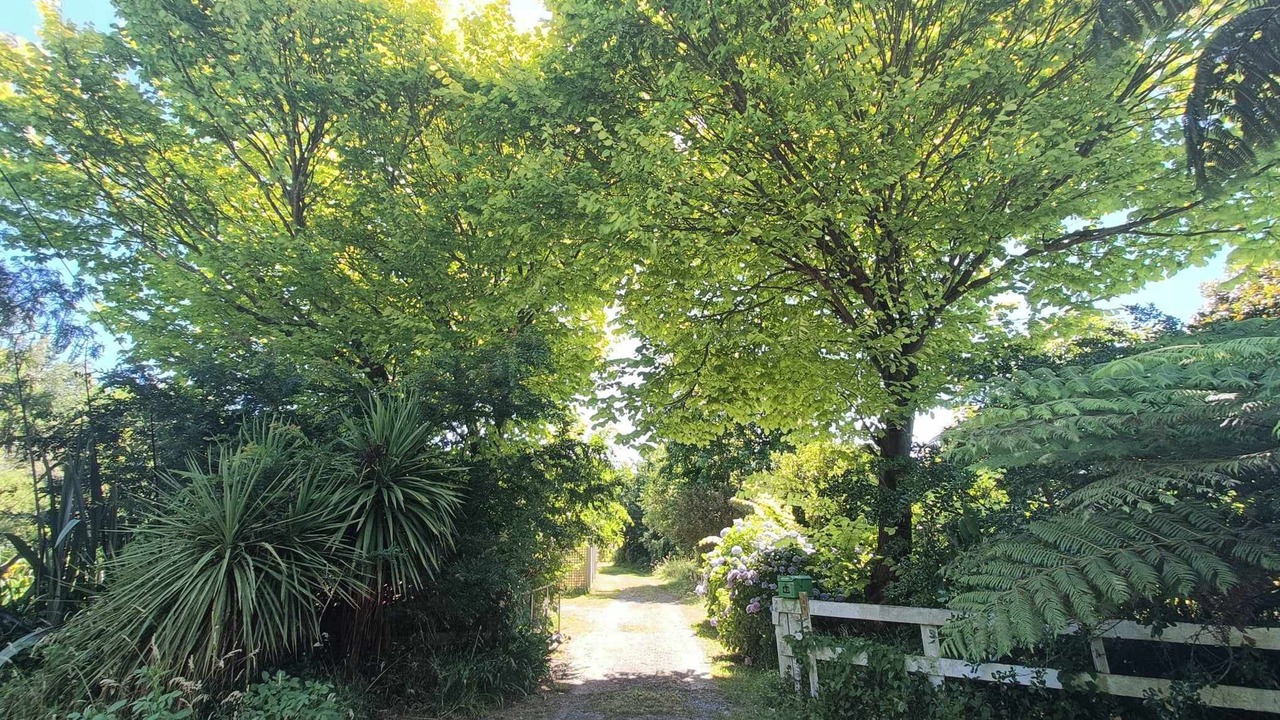 Photo of Outdoor in Otaki