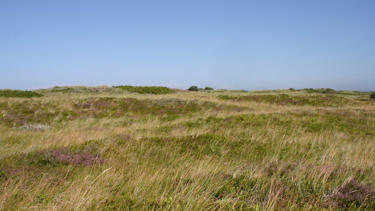 Photo of Outdoor in Torup Strand