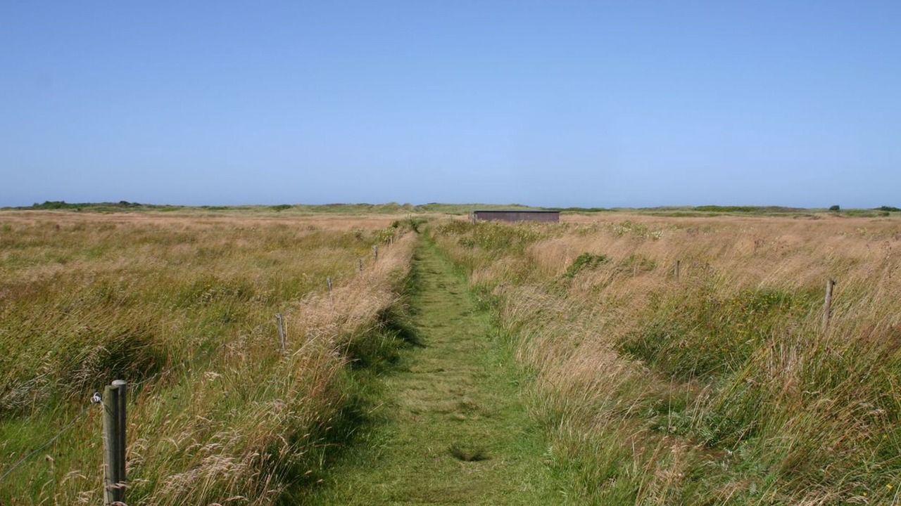Photo of Outdoor in Torup Strand