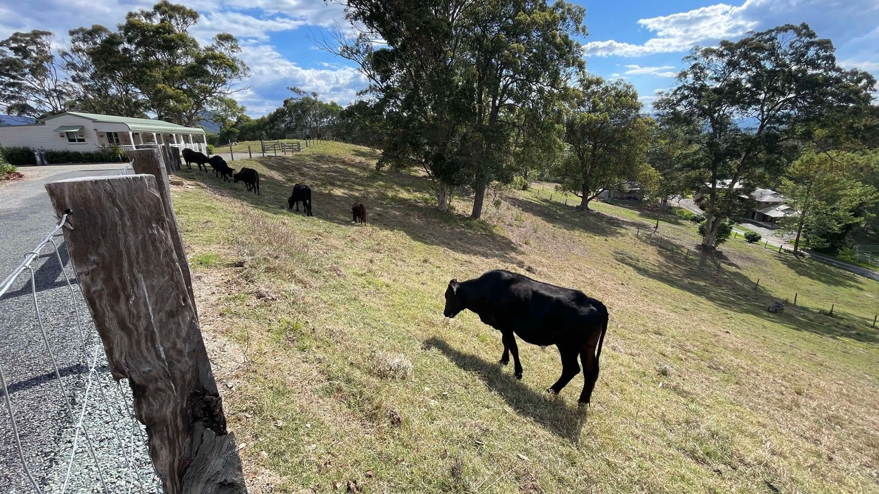 Photo of Others in Dayboro