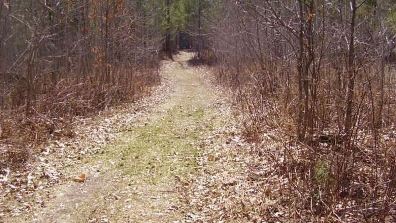 Photo of Others in Mentor Township