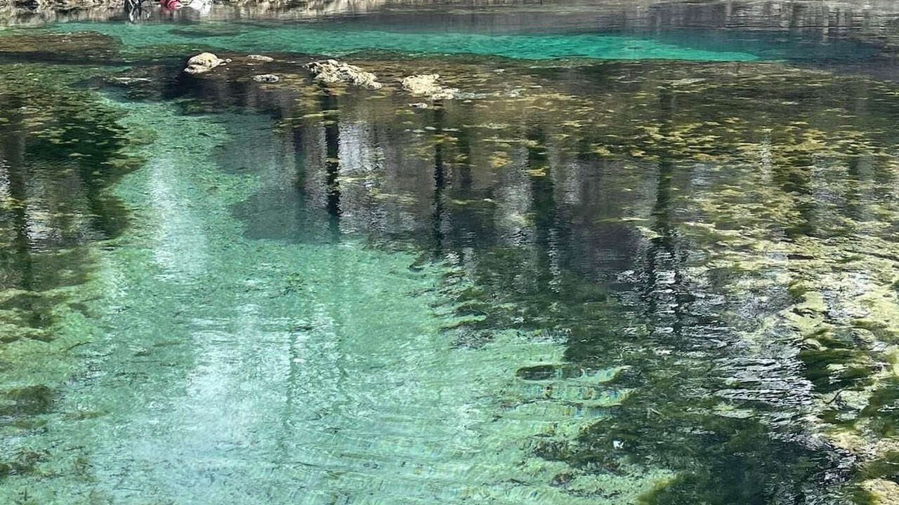 Photo of Outdoor in Live Oak