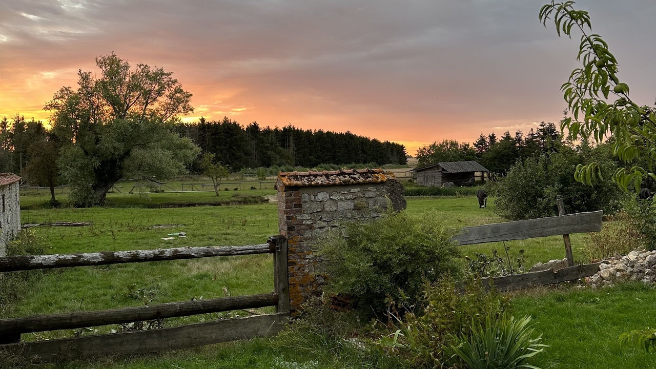 Photo of Outdoor in Beauvilliers