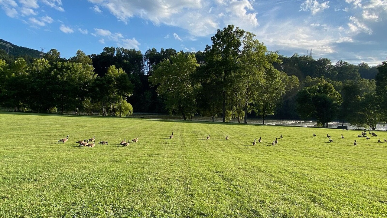 Photo of Others in Max Meadows
