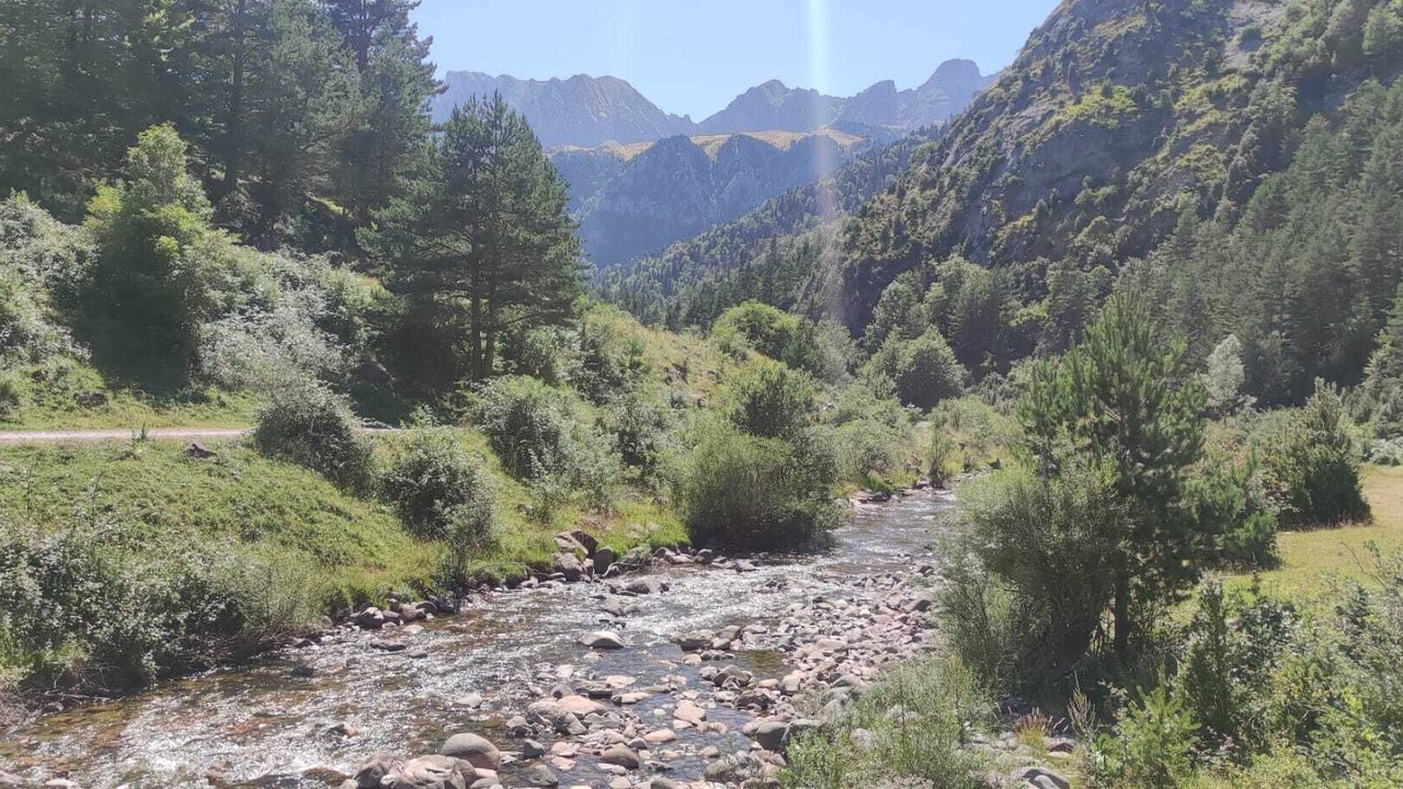 Photo of Others in Hecho