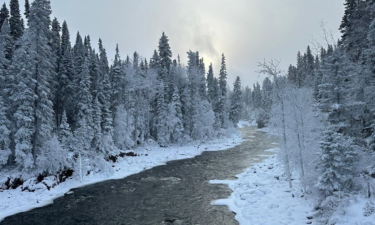 Photo of Others in Manitoba