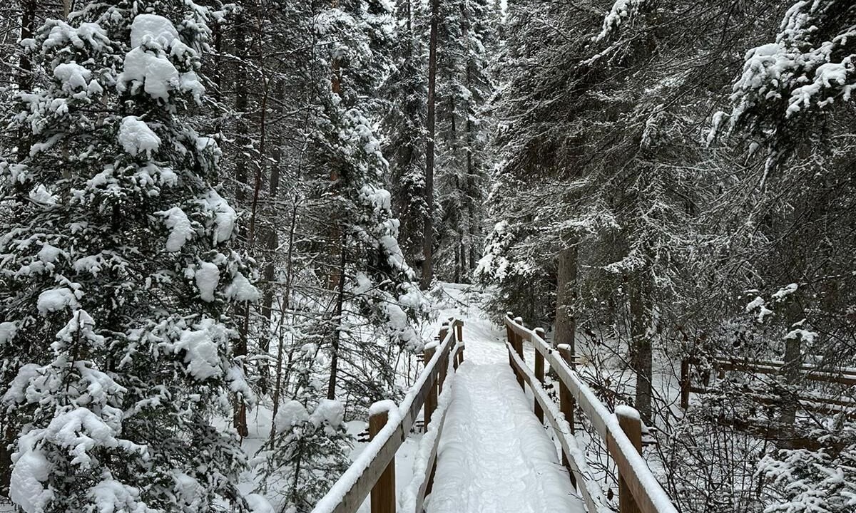 Photo of Others in Manitoba