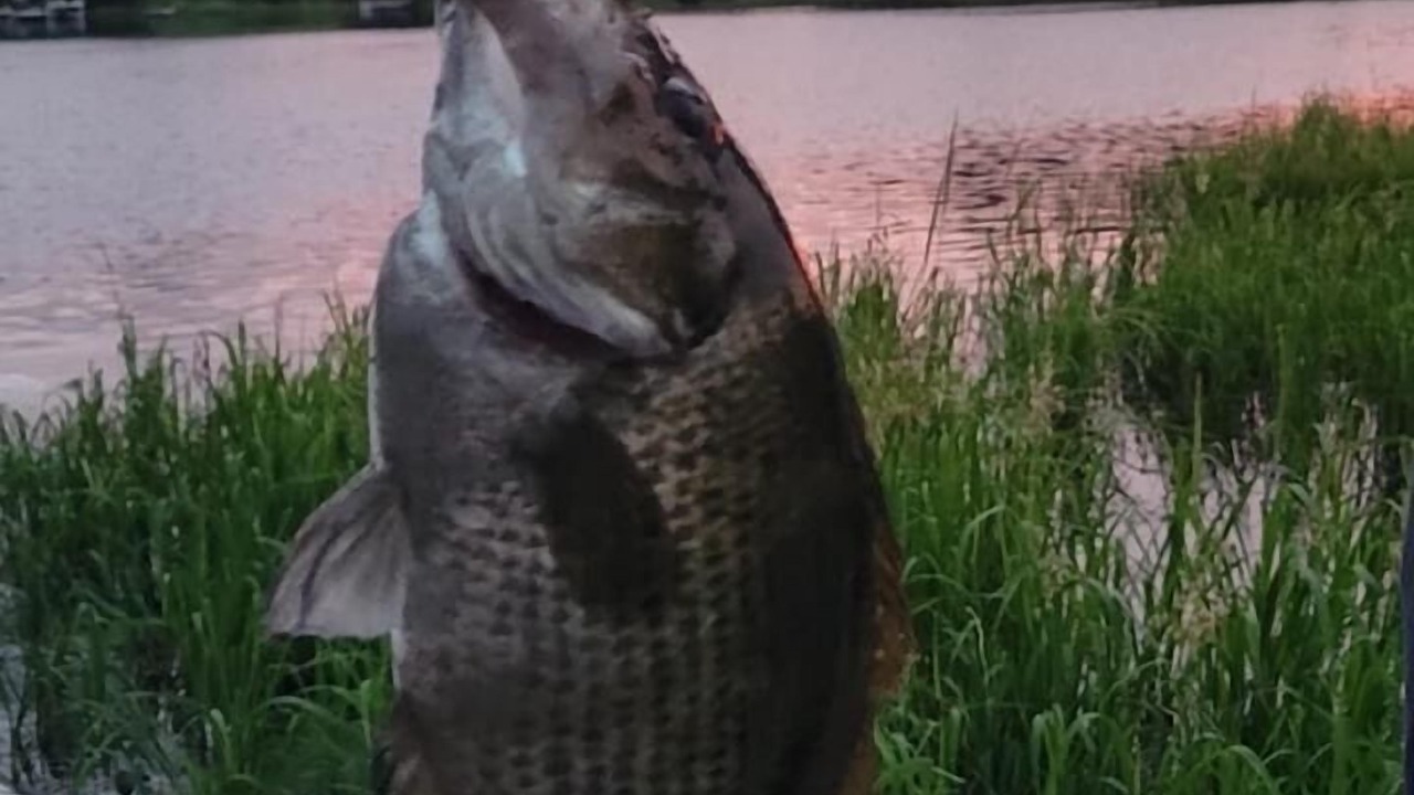 Photo of Others in Manitoba