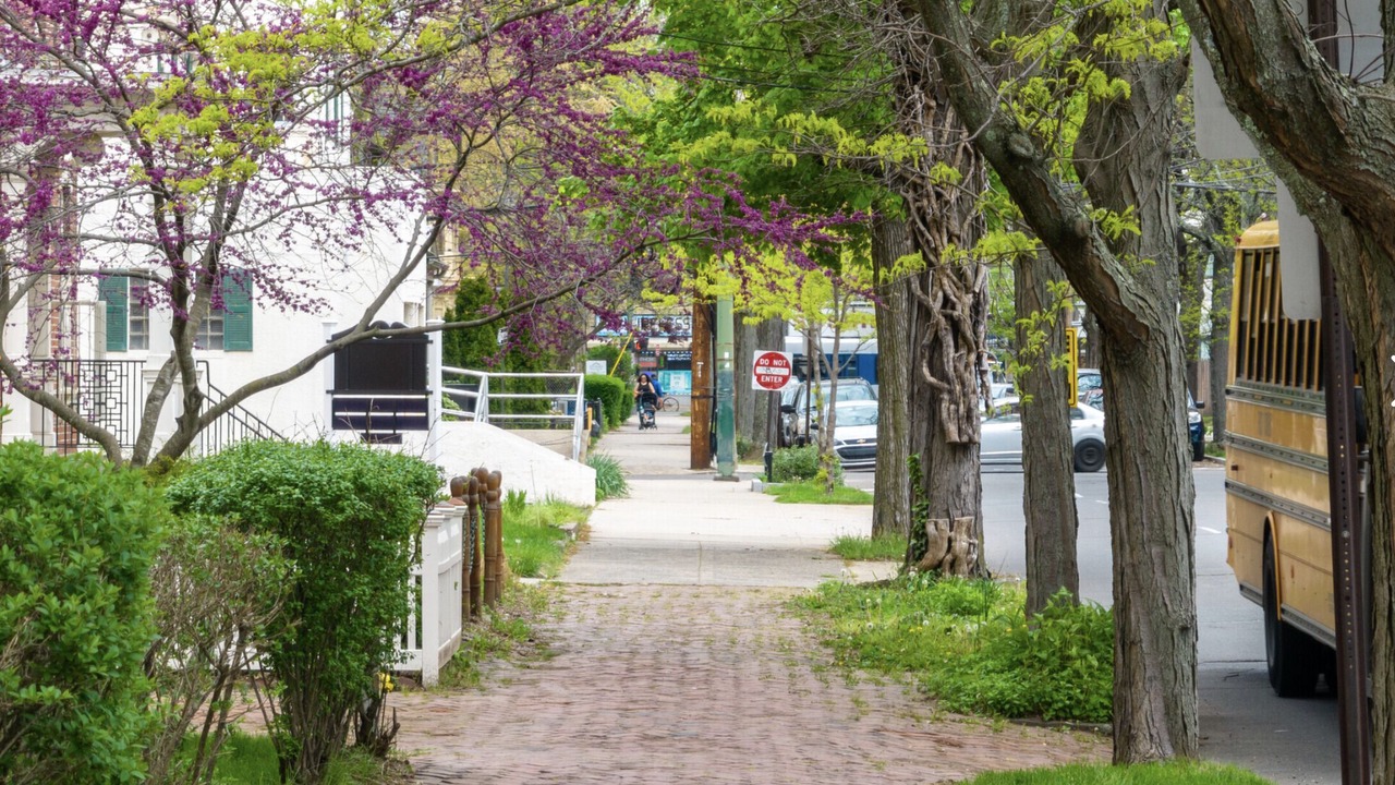 Photo of Others in Dwight
