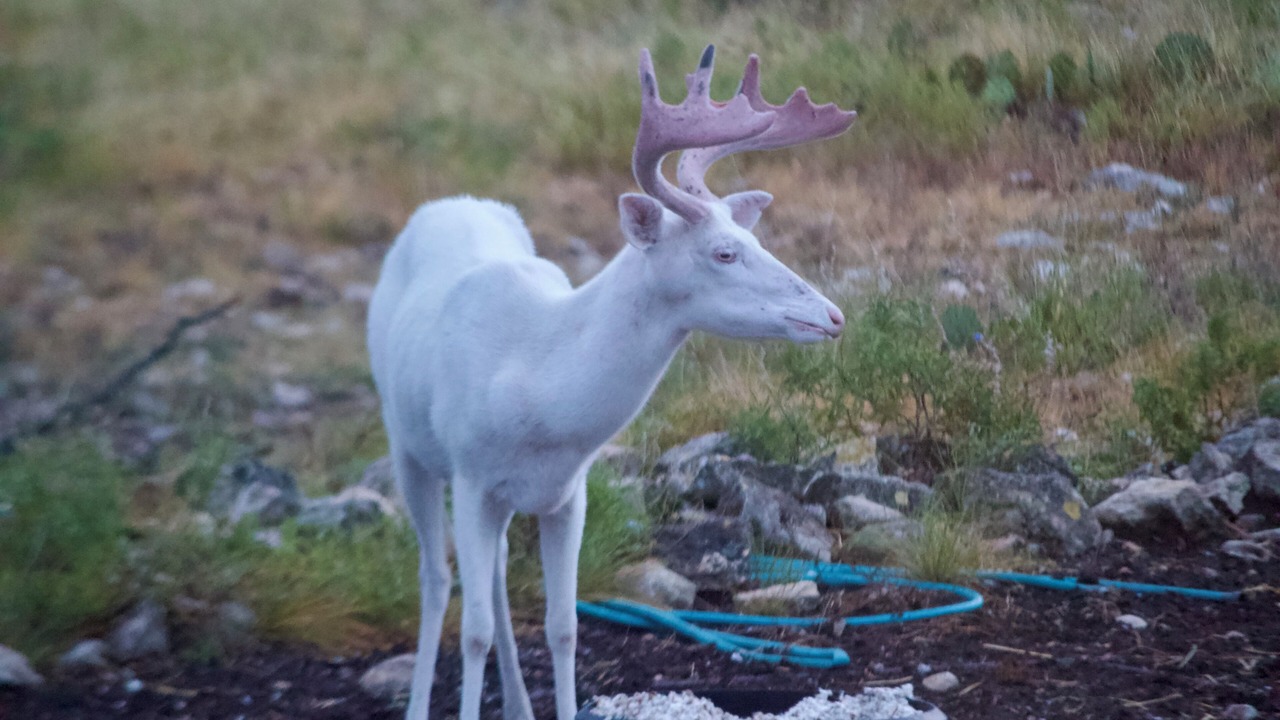 Photo of Outdoor in Harper