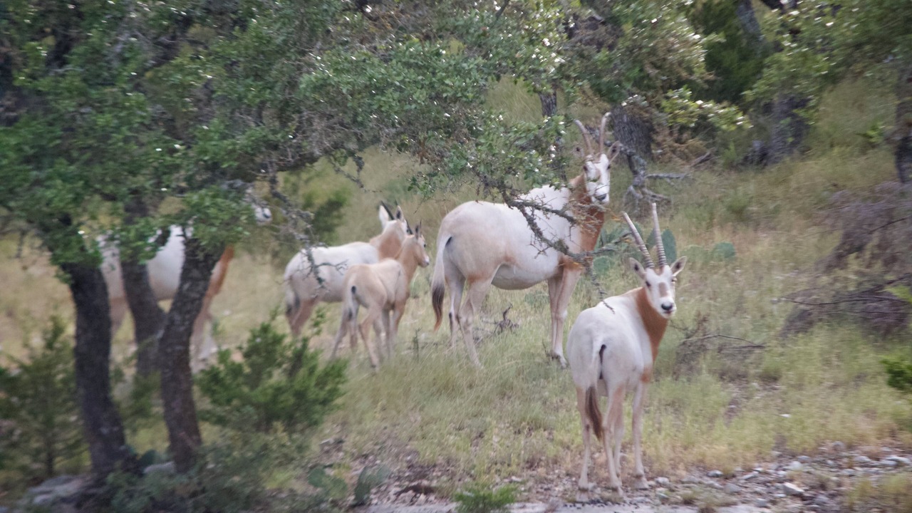 Photo of Outdoor in Harper