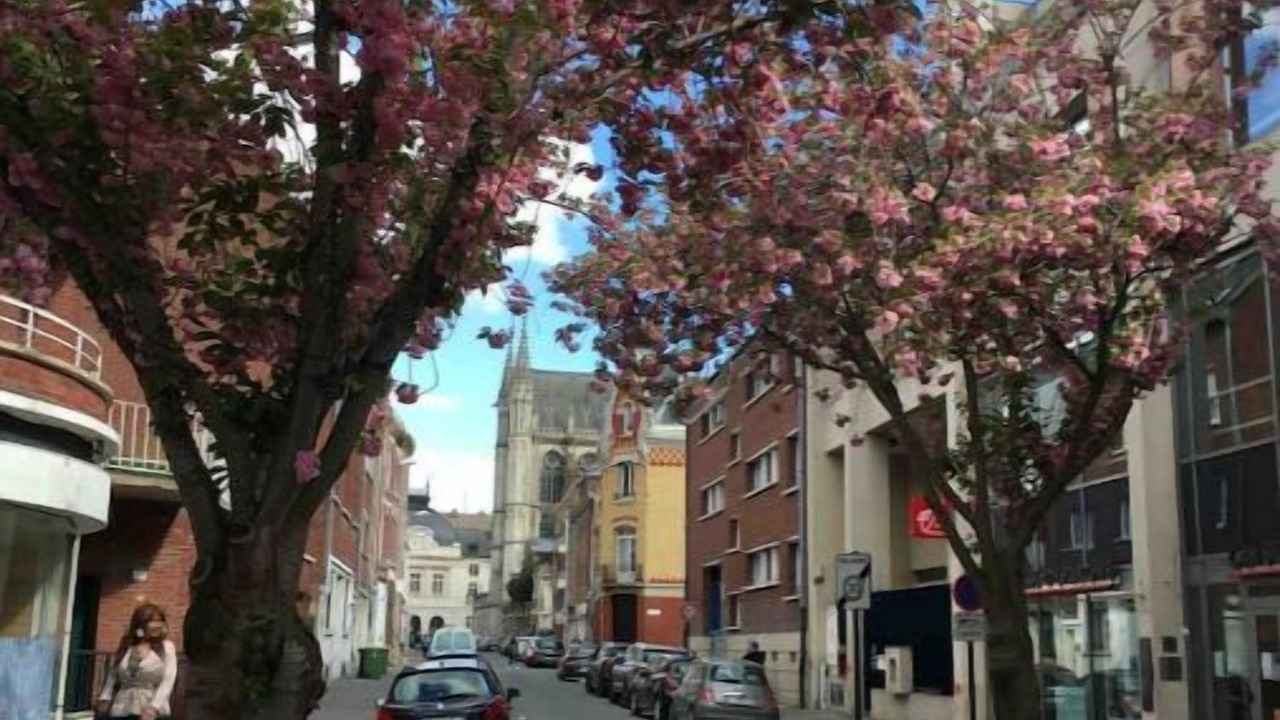 Photo of Others in Saint-Honore - Jeanne d'Arc