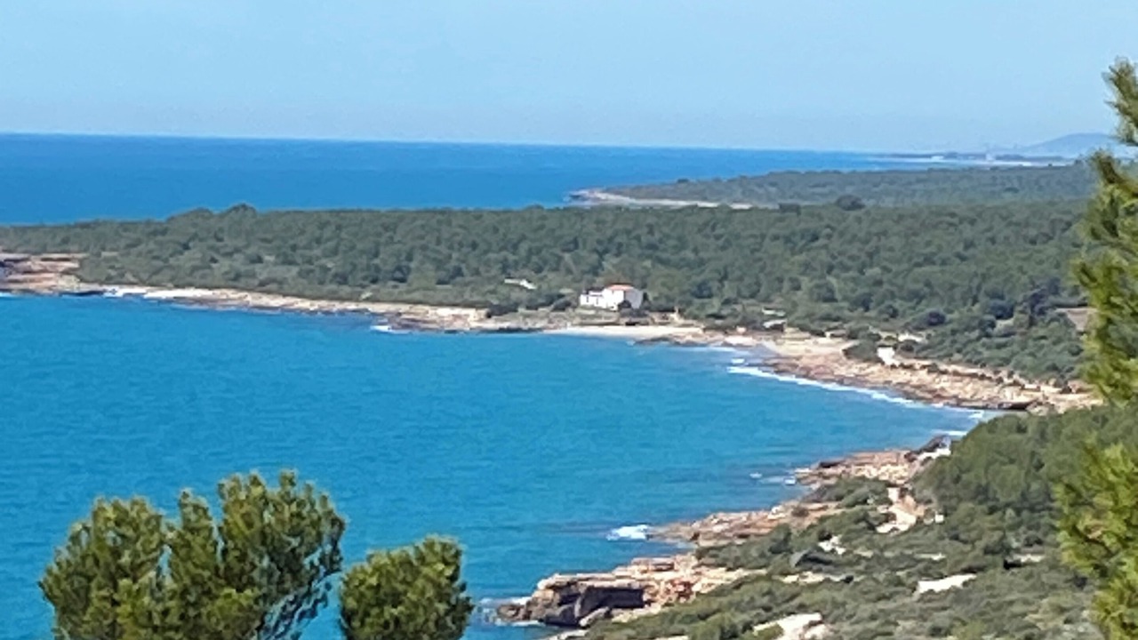 Photo of Others in Peniscola