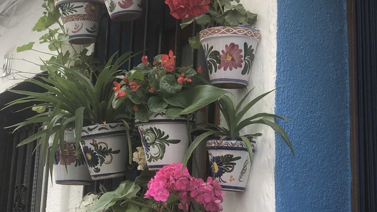 Photo of Outdoor in Peniscola