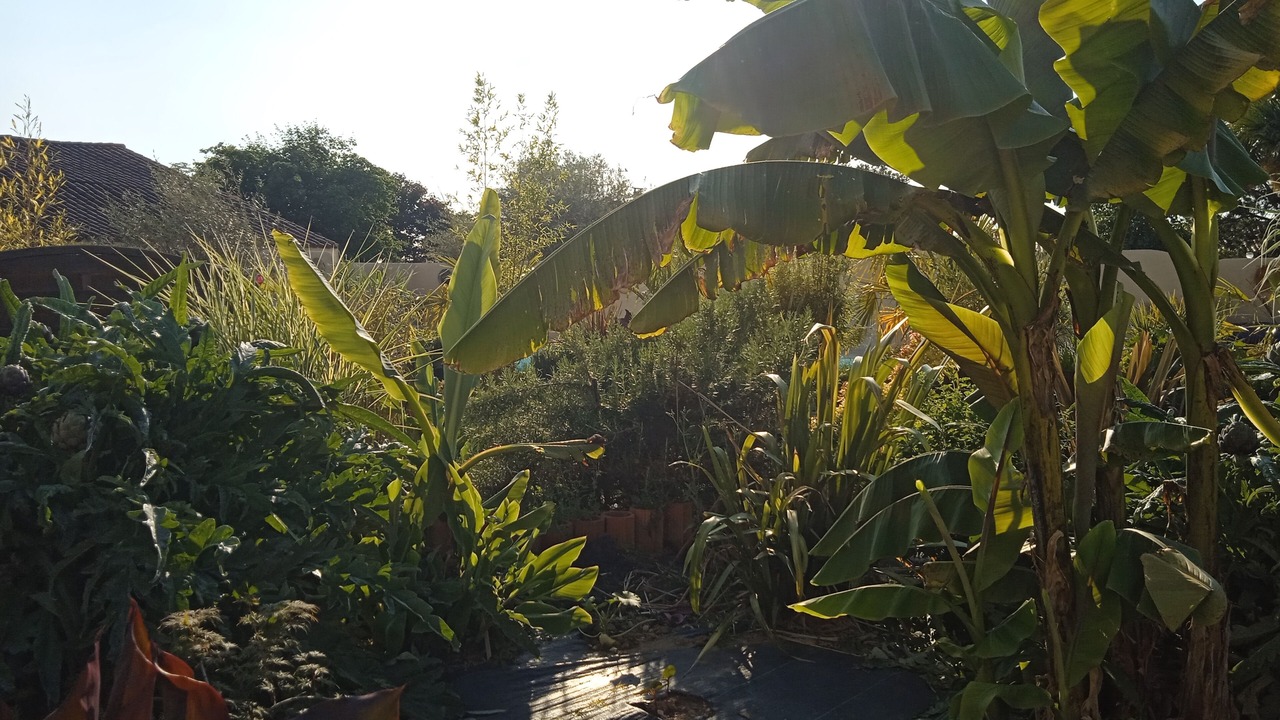 Photo of Outdoor in Saint-Germain-de-Princay