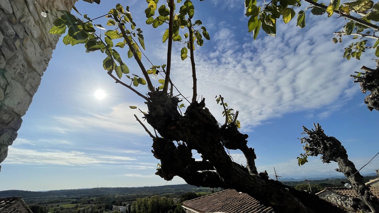 Photo of Others in Mons