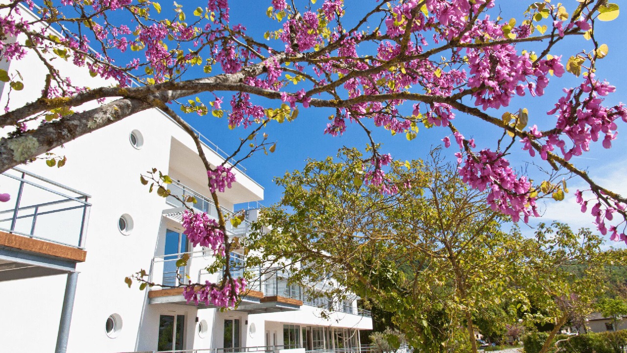 Photo of Outdoor in Chanaz