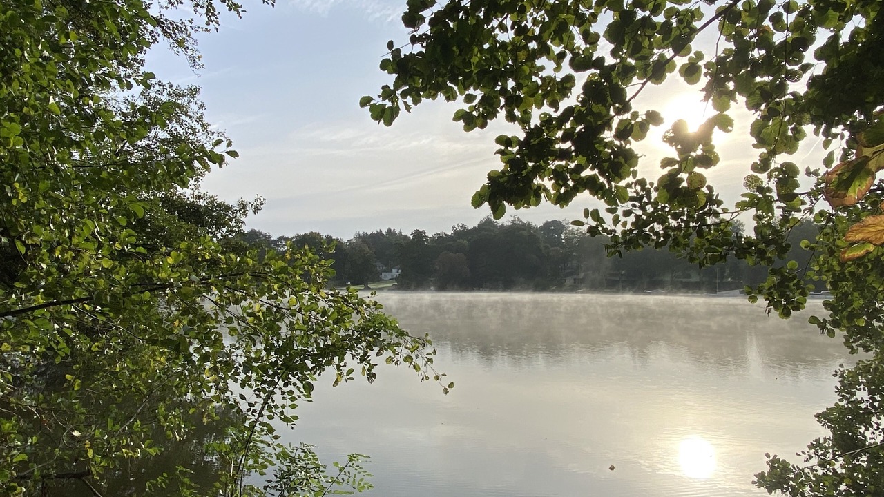 Photo of Others in Suce-sur-Erdre