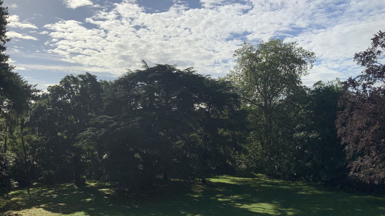 Photo of Others in Suce-sur-Erdre