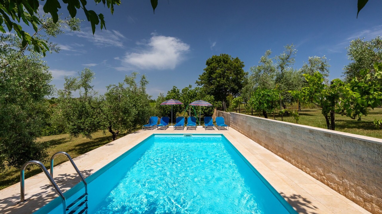 Photo of Outdoor in Momjan