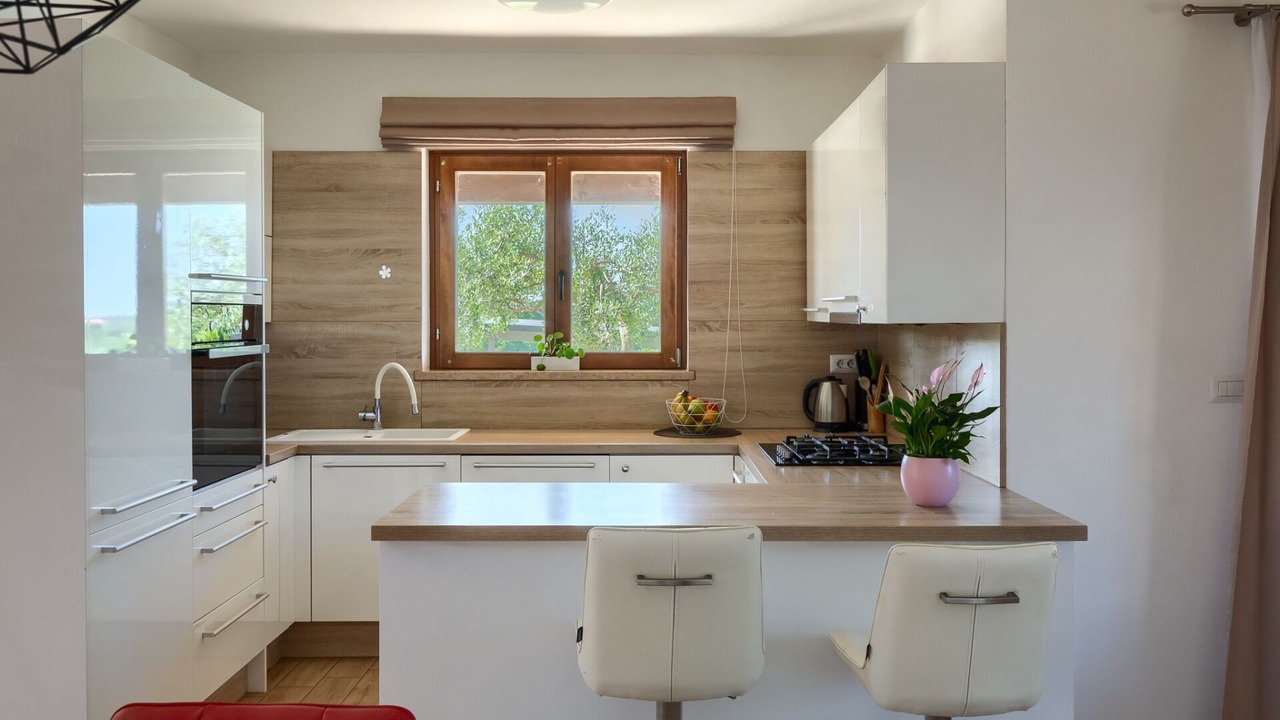 Photo of Kitchen in Brecevici