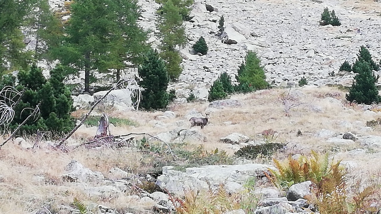 Photo of Outdoor in Roquebilliere