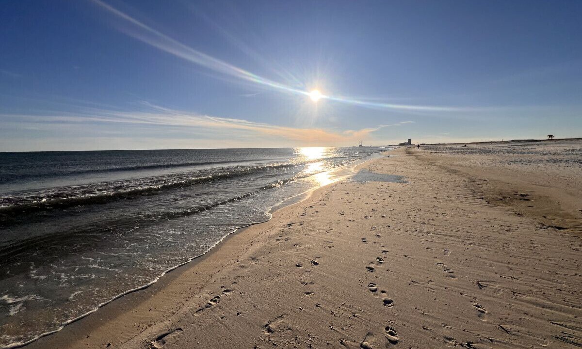 Photo of Others in Orange Beach