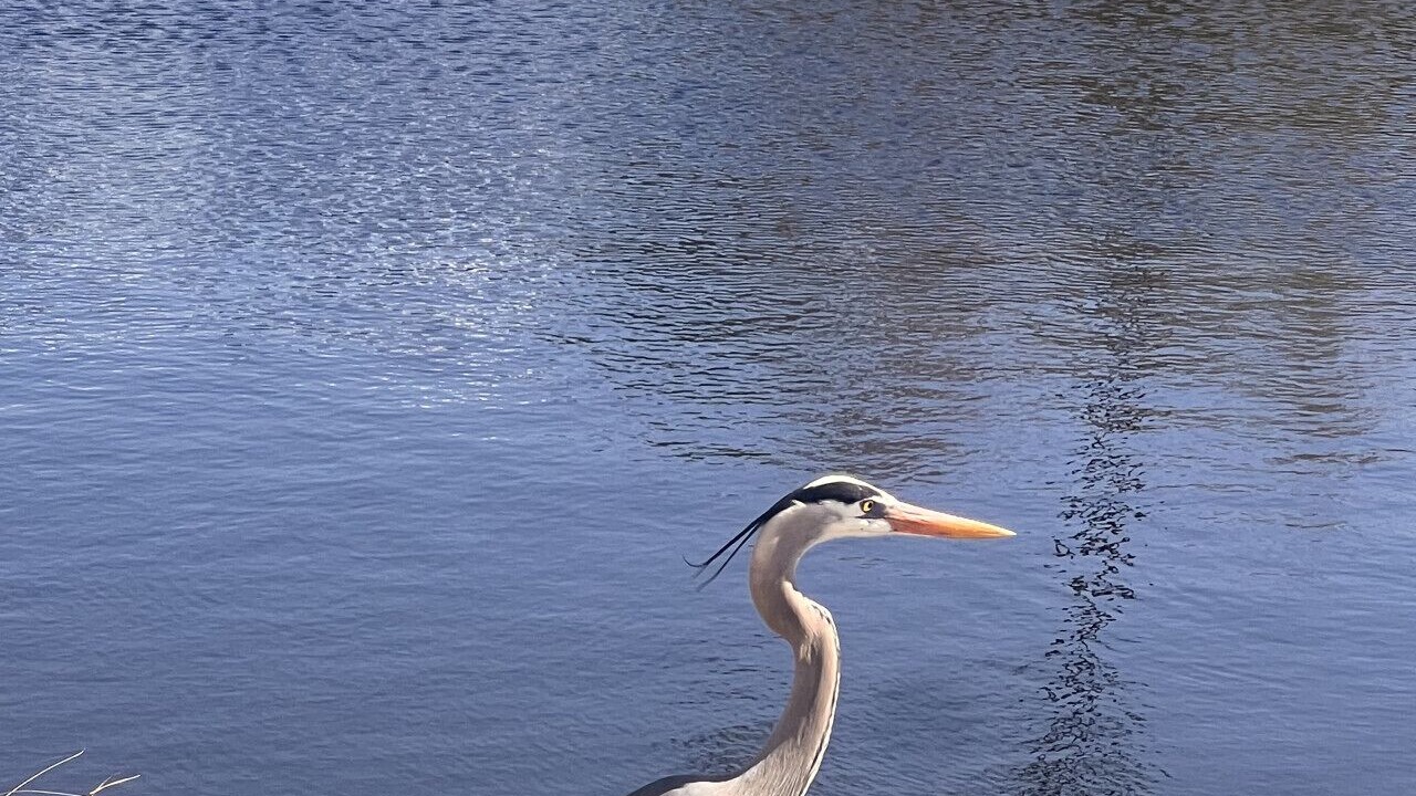 Photo of Others in Orange Beach