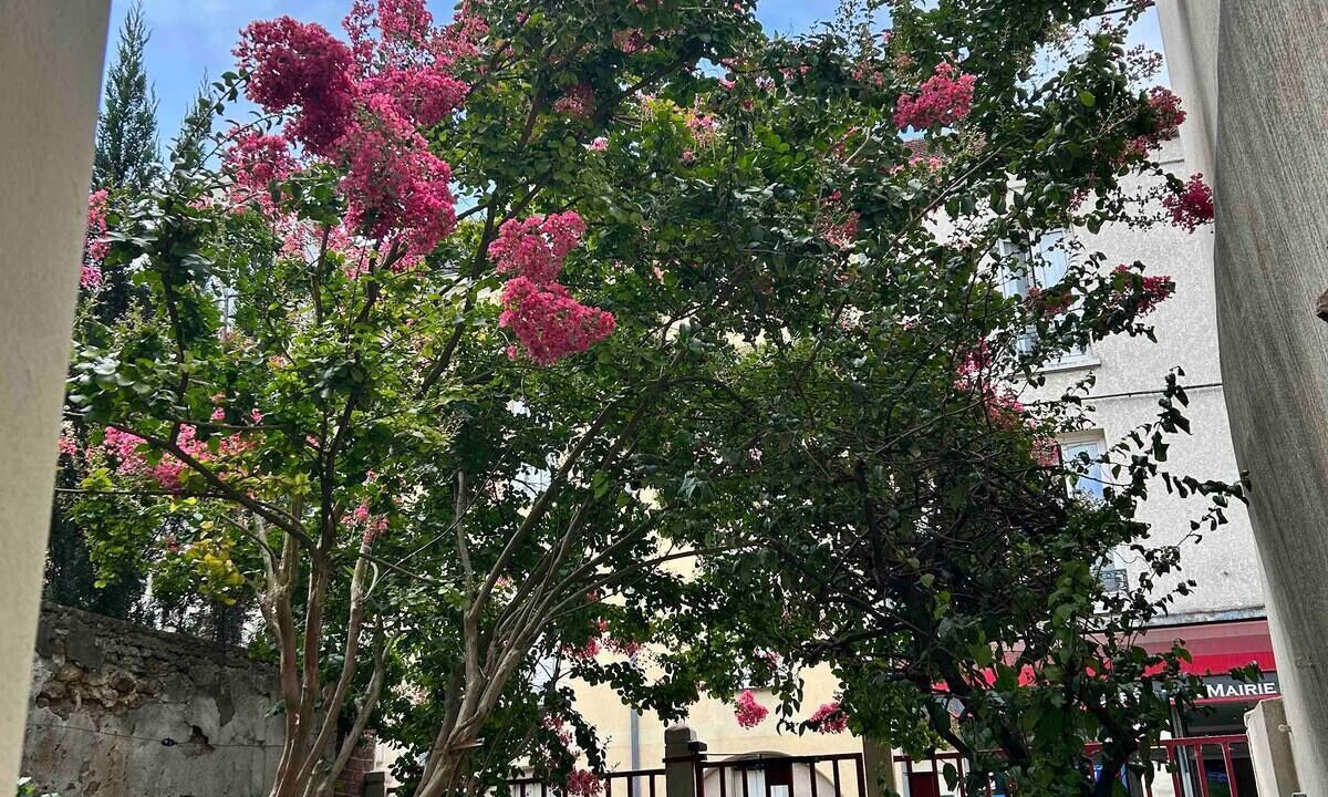 Photo of Outdoor in Quartier Centre Ville