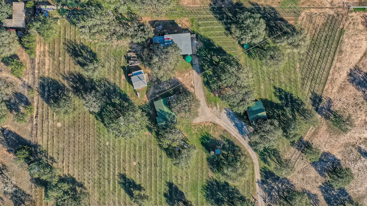Photo of Others in Round Mountain
