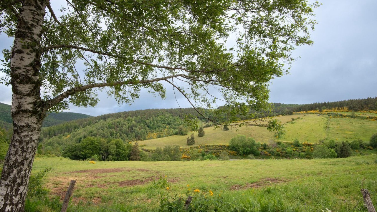 Photo of Outdoor in Mas-d'Orcieres
